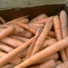 Windsor Farmer's Market gift card