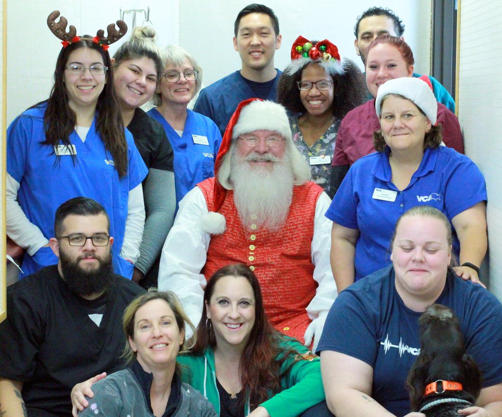 a Vet Tech Vet Tech Schools Sacramento CA Find Vet Tech