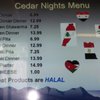 Cedar Nights