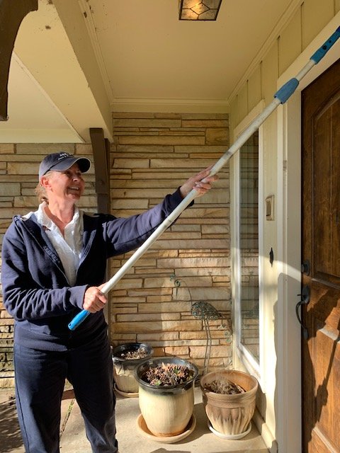 Abby's Pest & Termite Services