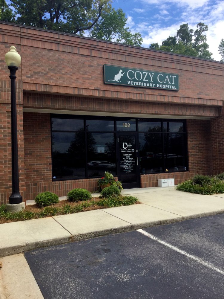 Cozy Cat Veterinary Hospital 11 Photos & 19 Reviews Veterinarians