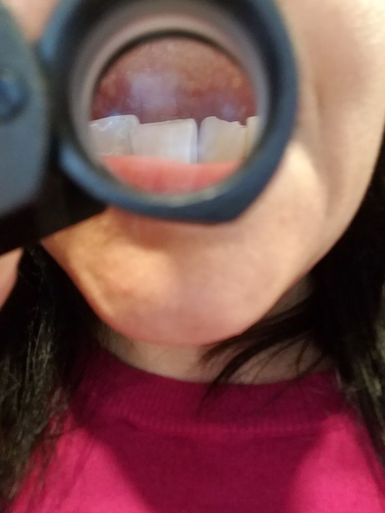 image of business Spindel General and Cosmetic Dentistry