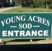 Young Acres Sod