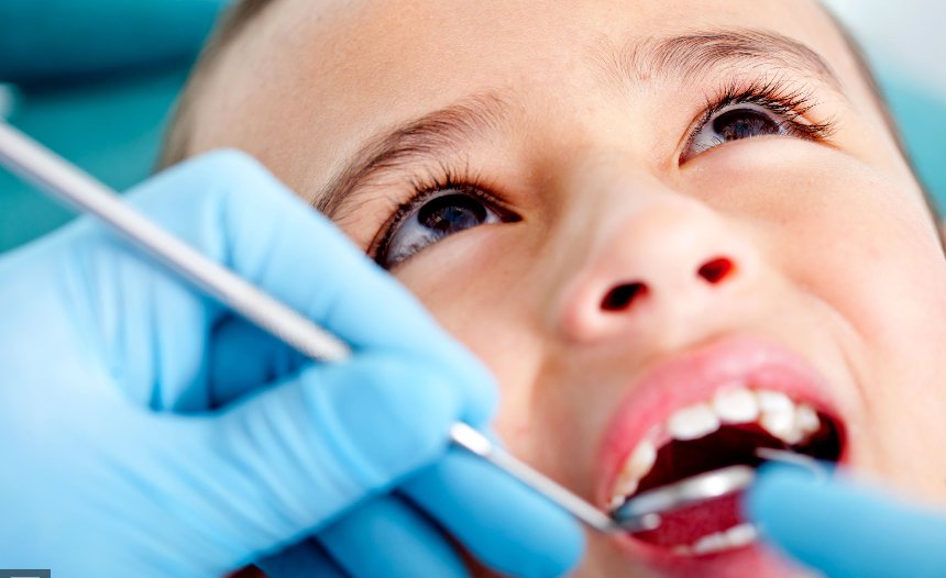 image of business Palmetto Dental