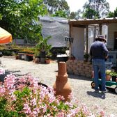 P C Nursery 85 Photos 18 Reviews Nurseries Gardening Photo Of P C Nursery Corona Ca United States