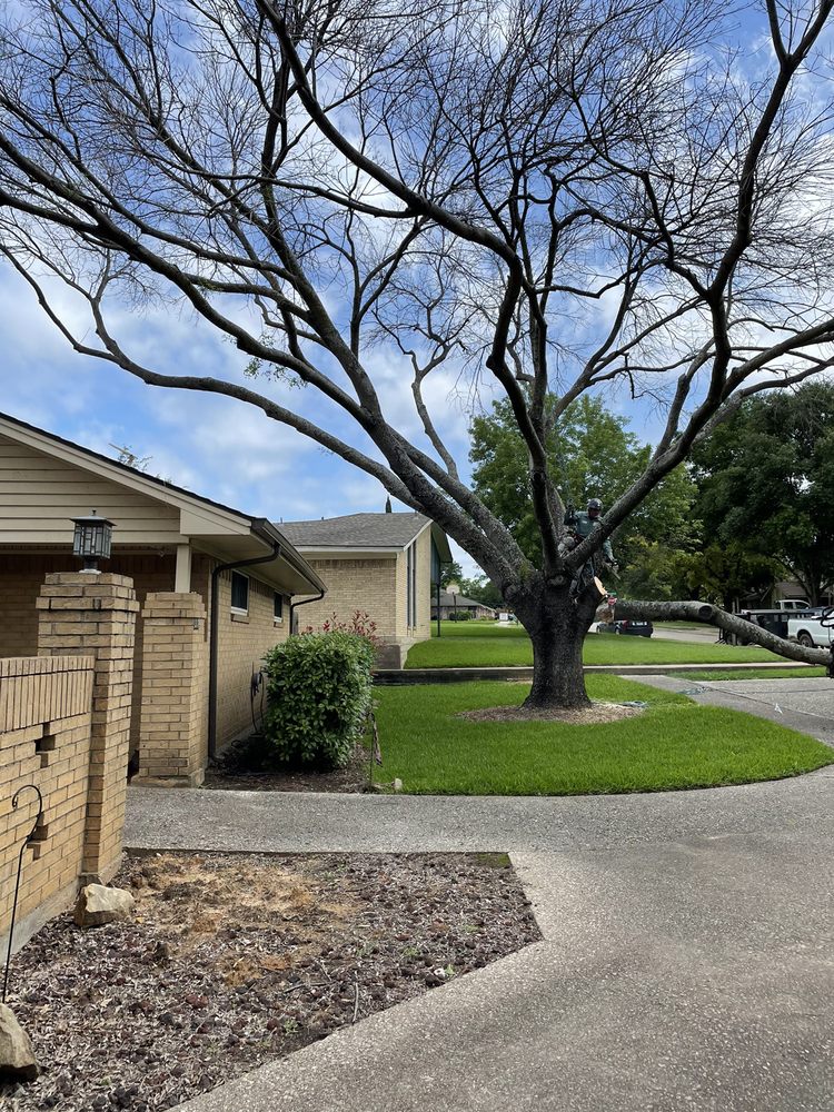 Chippers Tree Service