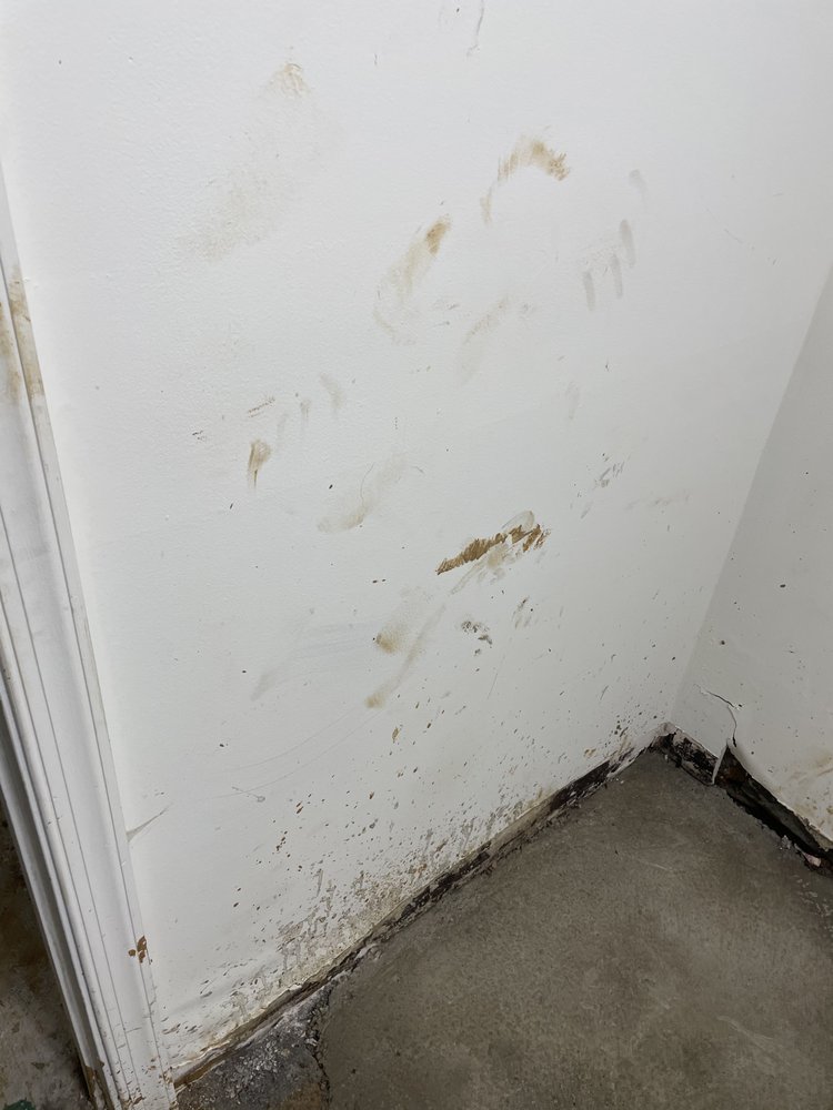 image of business Pronto Plumbing