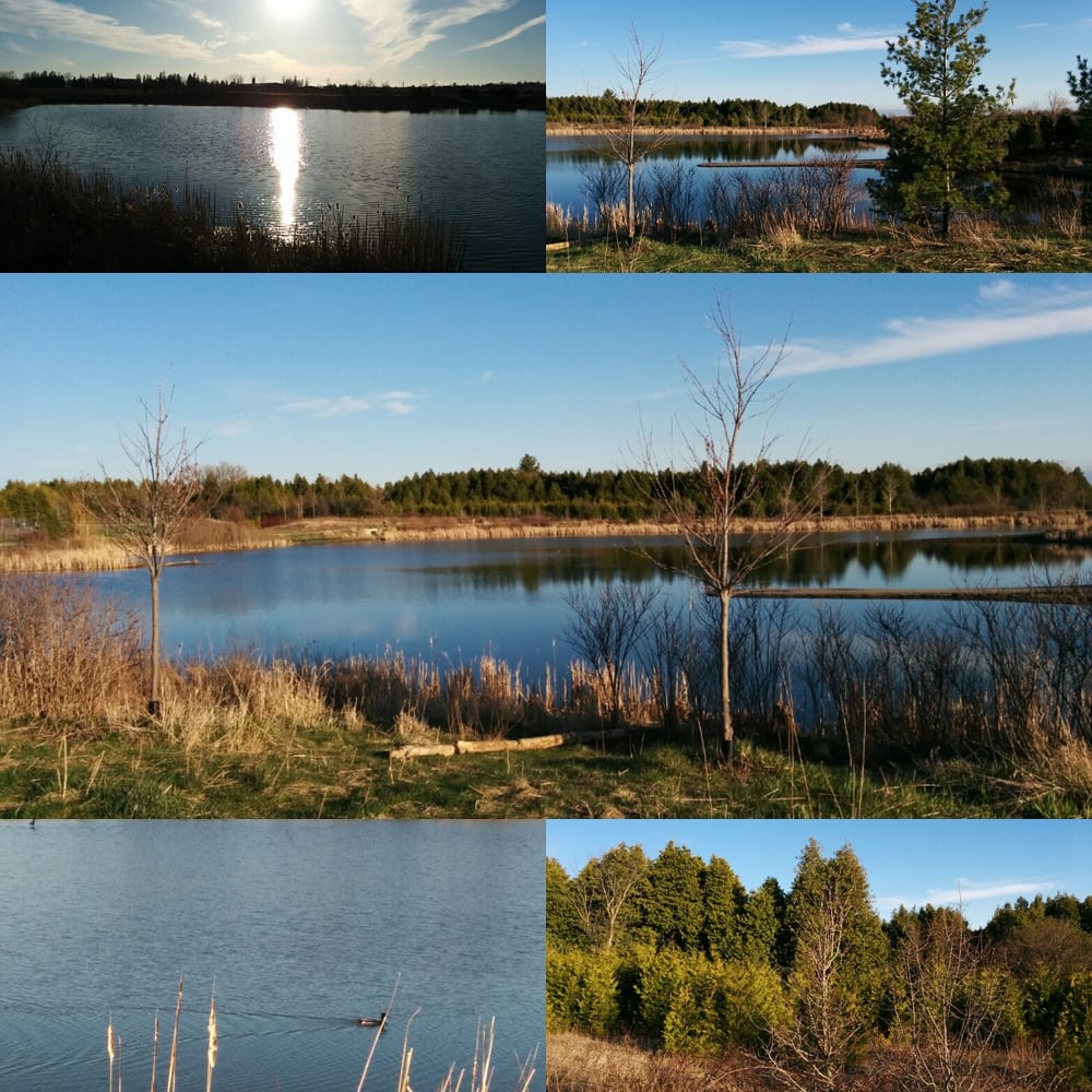 Rougeview Dog Park Whitchurch Stouffville On Rougeview Dog Park Whitchurch Stouffville On