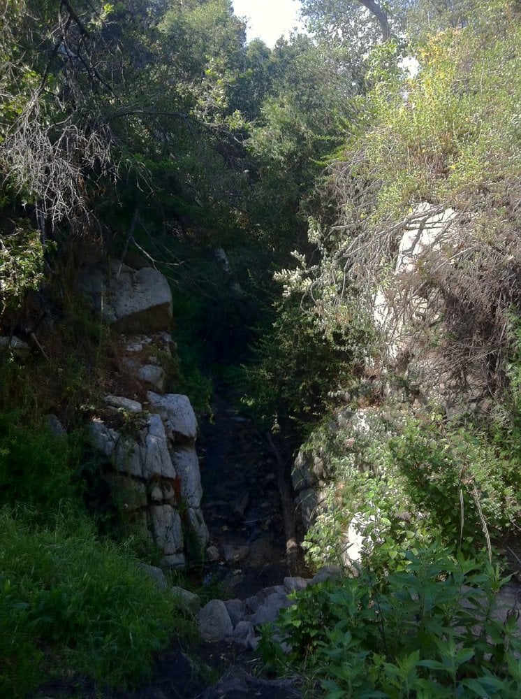 Photos for Crescenta Valley Park Yelp