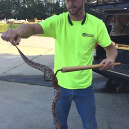 Photos For Rid A Critter Yelp Photo Of Rid A Critter Atlanta Ga United States Snake