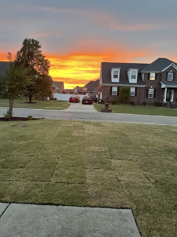 Ace Landscaping & Construction