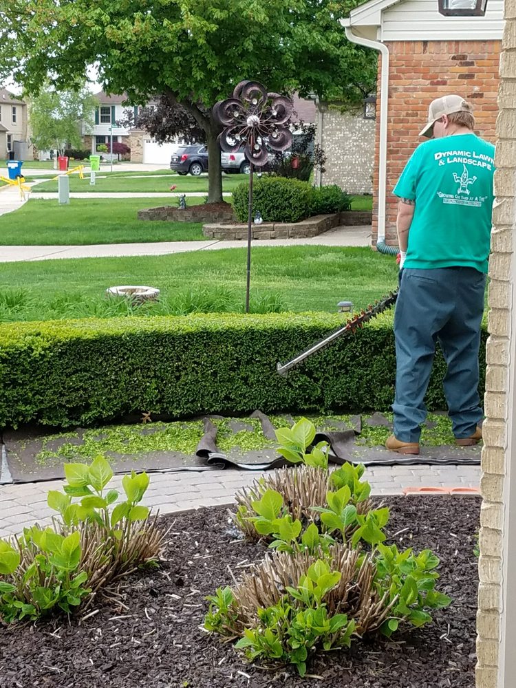 It S Worth The Money To Have Dynamic Trim These Nice N Tight Ray Photo Of Dynamic Lawn Landscape Sterling Heights Mi United States It S
