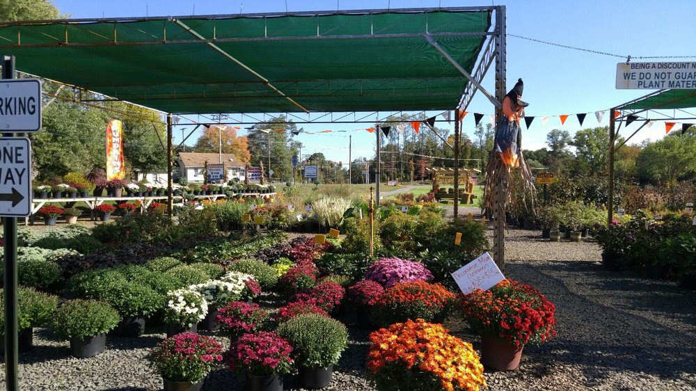 Countryview Farm Nursery Gift Card Monroe Township Nj Countryview Farm Nursery Gift Card Monroe Township Nj