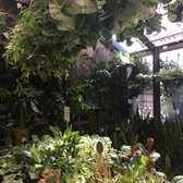 Sunset Nursery 198 Photos 242 Reviews Nurseries Gardening Photo Of Sunset Nursery Los Angeles Ca United States