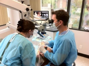 Garrett M Guess, DDS