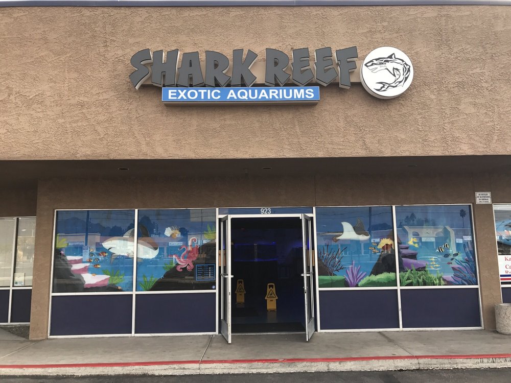 Shark Reef 11 Photos Aquariums 923 W Prince Rd, Tucson, AZ