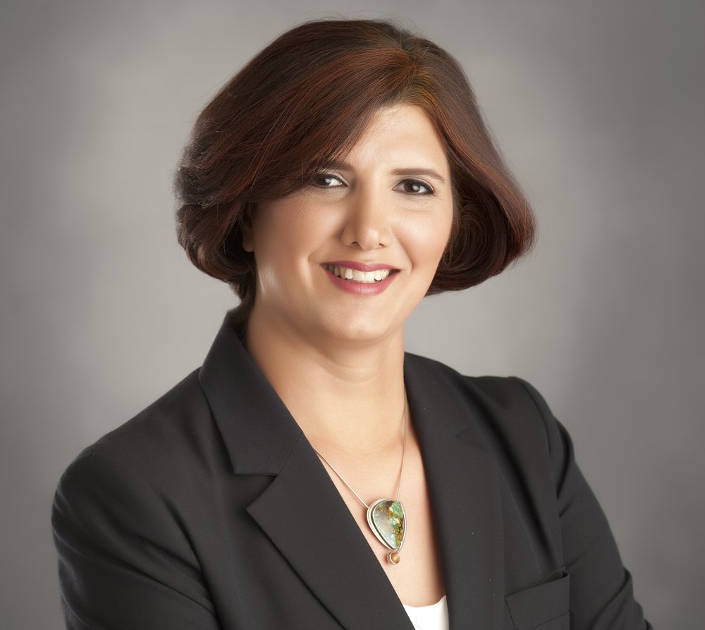 Fattahi Immigration Law
