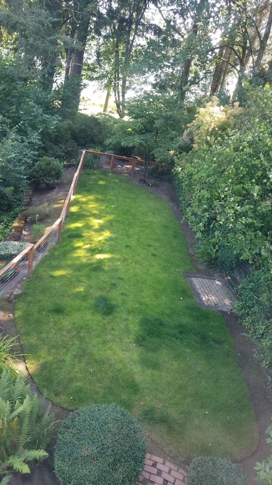 Ramos Yard Maintenance