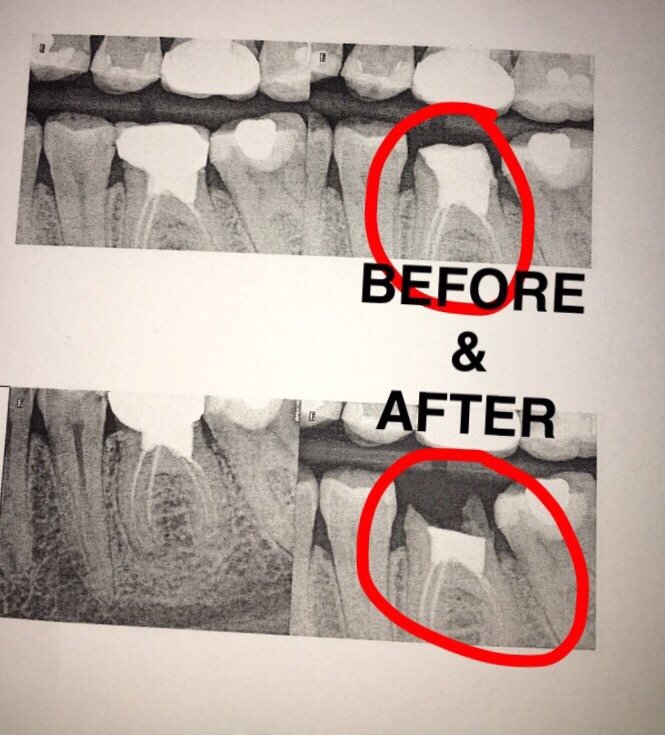 image of business Sandra Garcia-Iryami, DDS, PC