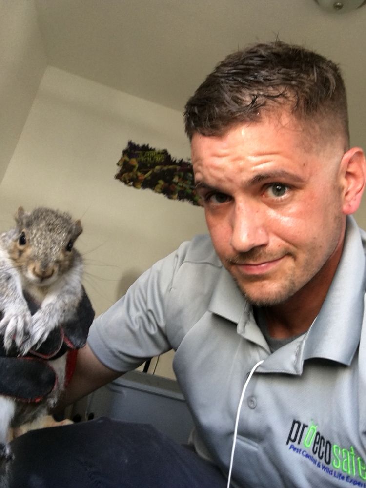 Pro Eco Safe Pest Control