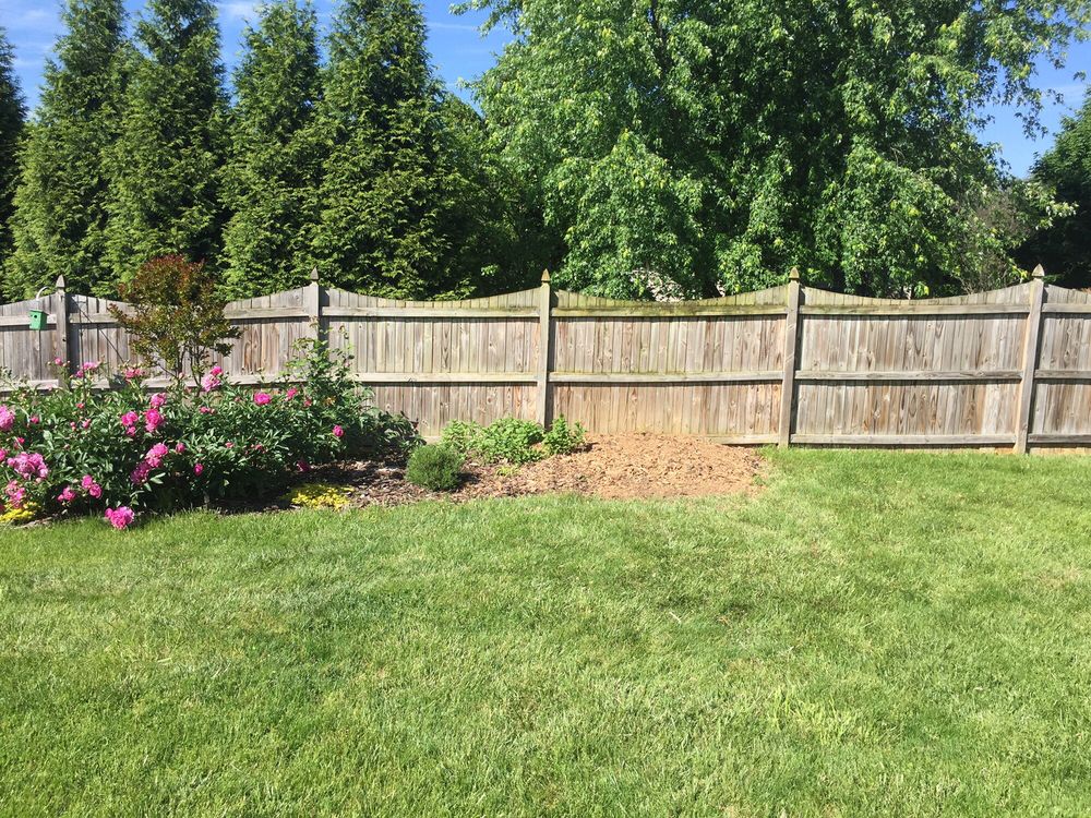 Appalachian Tree Service
