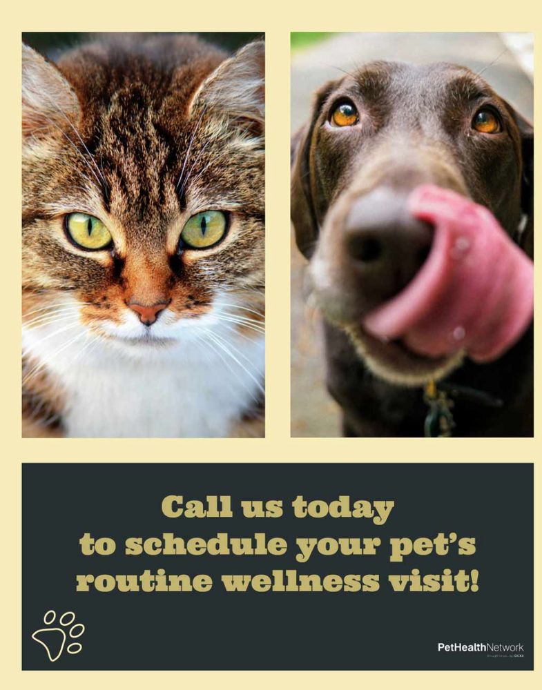 Ammon Veterinary Hospital