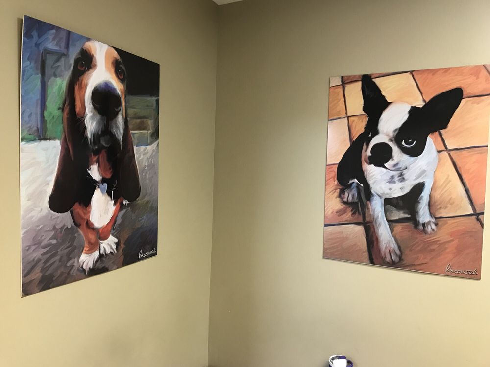 a Vet Tech Vet Tech Schools Simi Valley CA Find Vet Tech