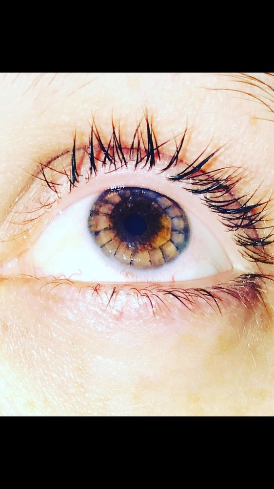 Eye Associates of Lancaster Ltd Optometrists 1254 Lititz Pike