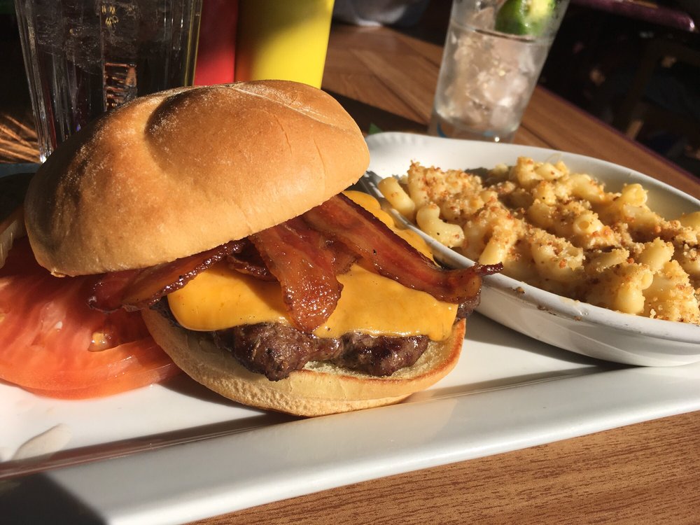 Dog Friendly Vegetarian Friendly Restaurants Near Me Dog Friendly Vegetarian Friendly Restaurants Near Me