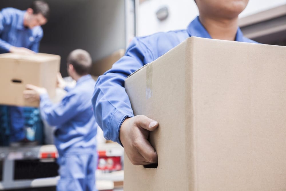 Gorilla Fit Movers
