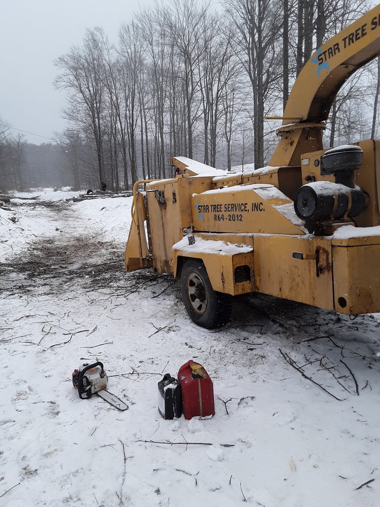 Star Tree Service
