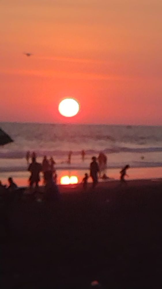 image of business Rego Park Dental