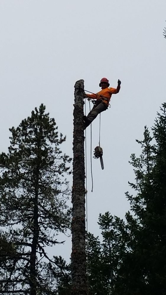 Flores Landscaping & Tree Service