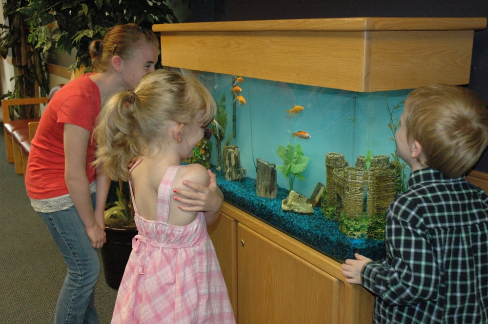 image of business Clackamas & Oregon Pediatrics