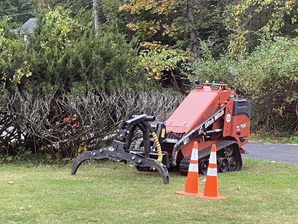 New York Tree Masters