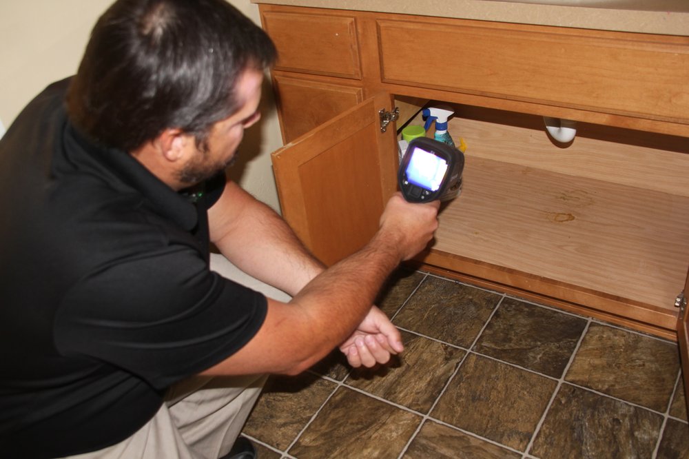 Diamond Willow Inspection