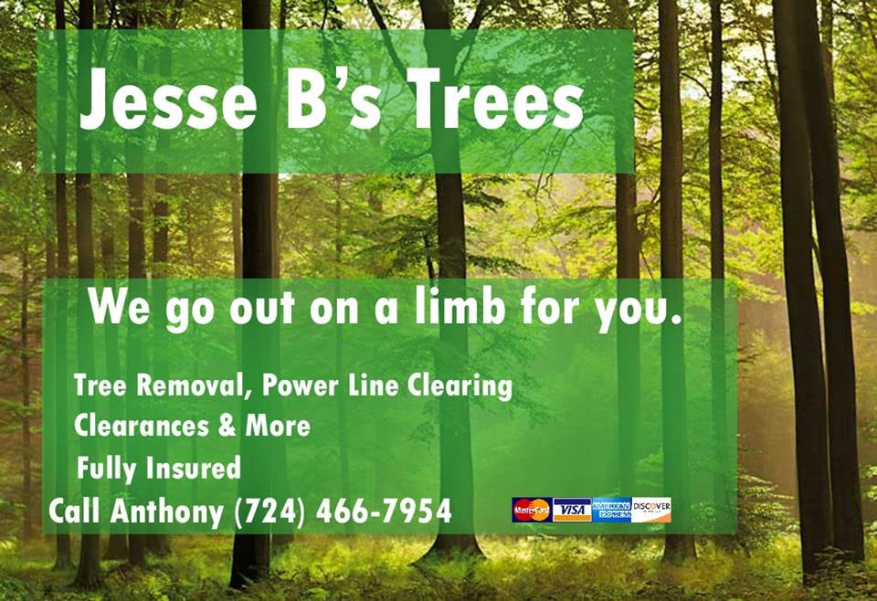 Jesse B's Trees
