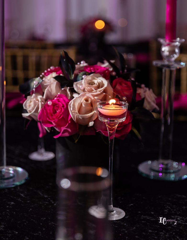 Wynter Party Rentals