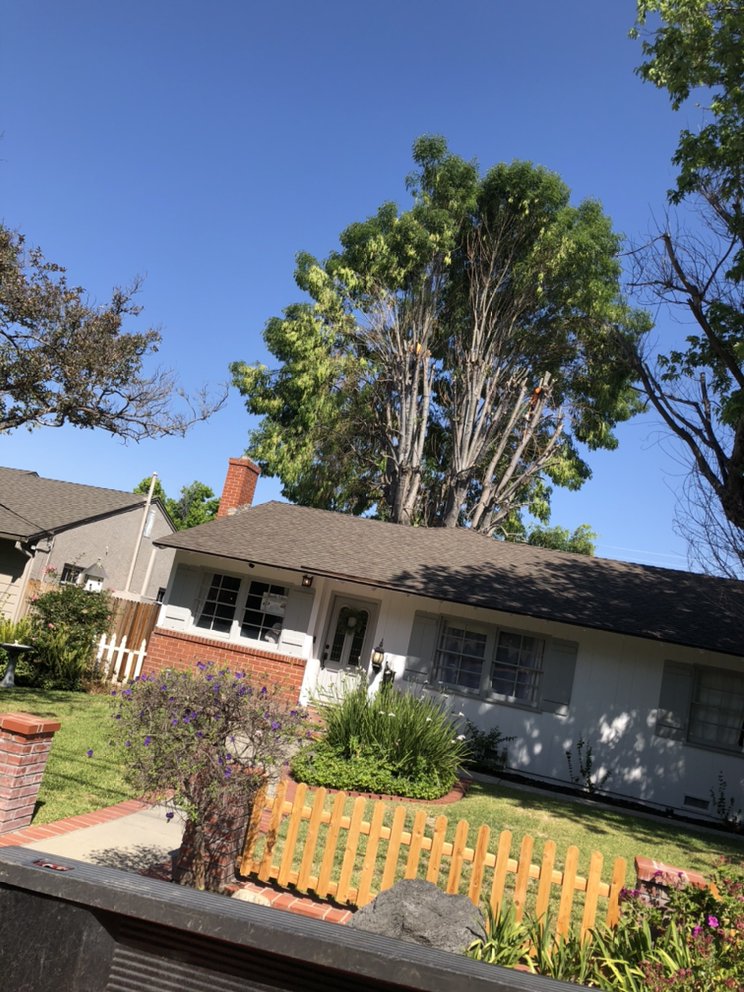 Garcia’s Tree Service