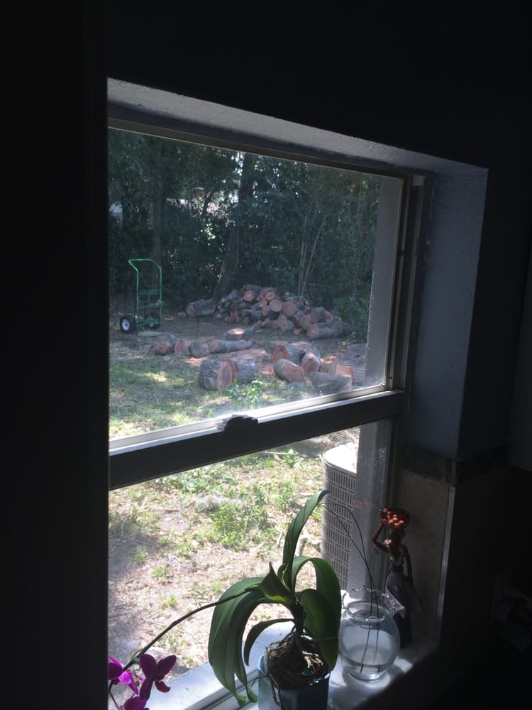 Dave's Hauling and Tree Service, Inc