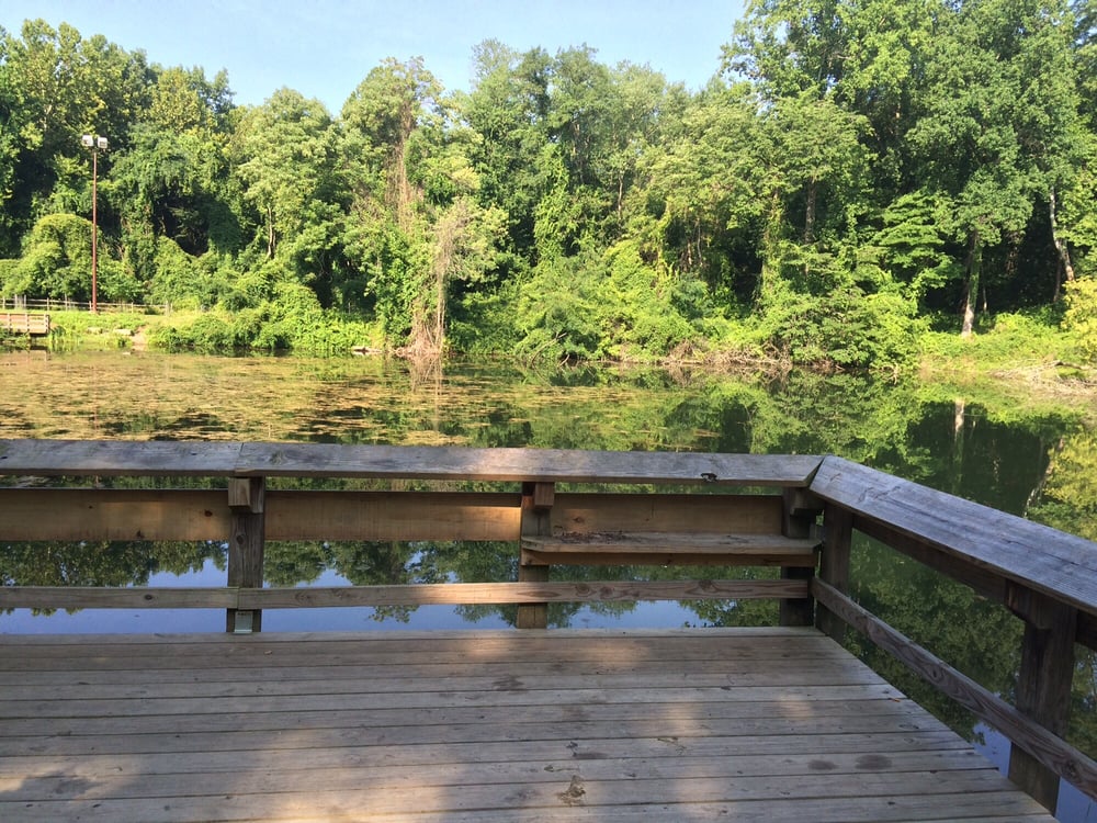 Patapsco State Park - Avalon Area
