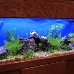 infinity aquarium design 12