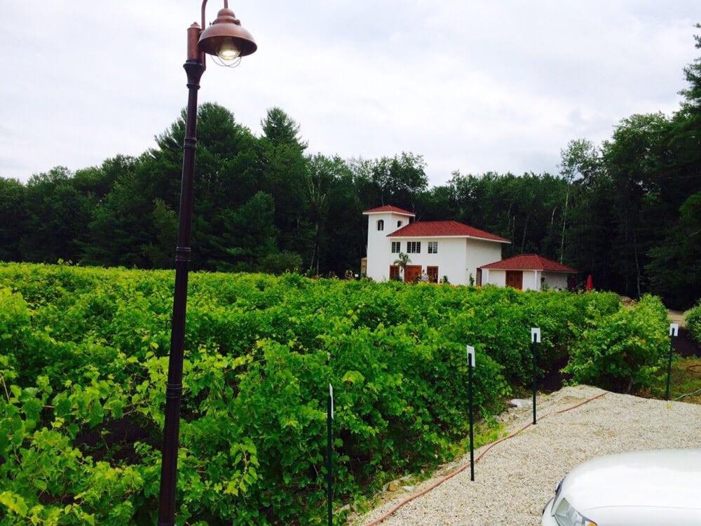 Fulchino Vineyard 15 Reviews Wineries 187 Pine Hill Rd, Hollis