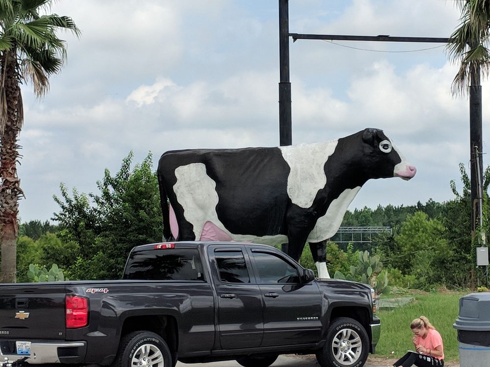 Dairy Queen Brazier 12 Photos & 17 Reviews Burgers 2005 North St