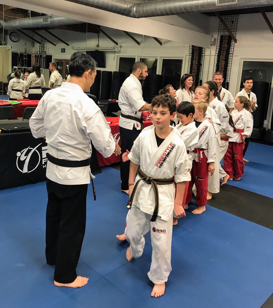 Freestyle Martial Arts