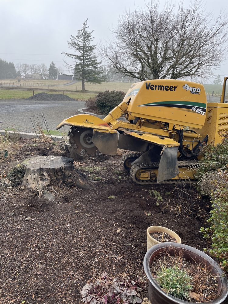 Portland Stump Grinding