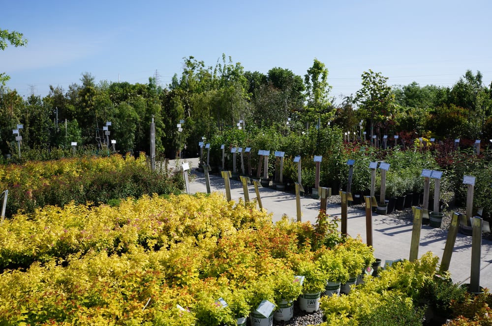 Green Acres Nursery & Supply 118 Photos & 146 Reviews Nurseries