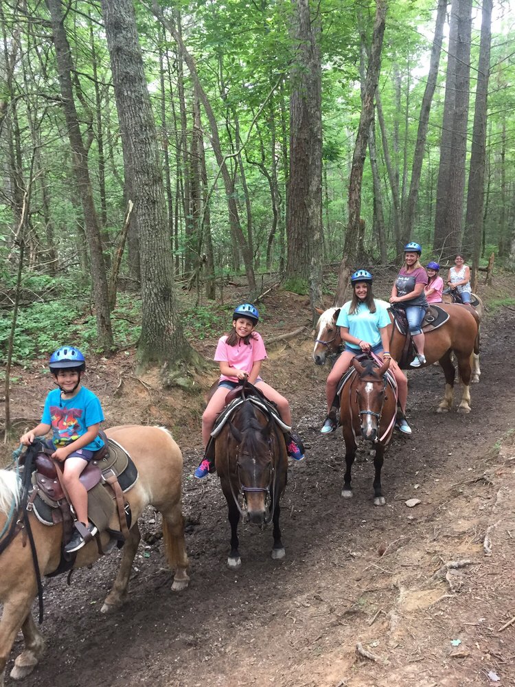 Cades Cove Riding Stables CLOSED 15 Photos Horseback Riding