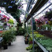 Platt Hill Nursery 19 Photos 36 Reviews Nurseries Gardening Photo Of Platt Hill Nursery Bloomingdale Il United States