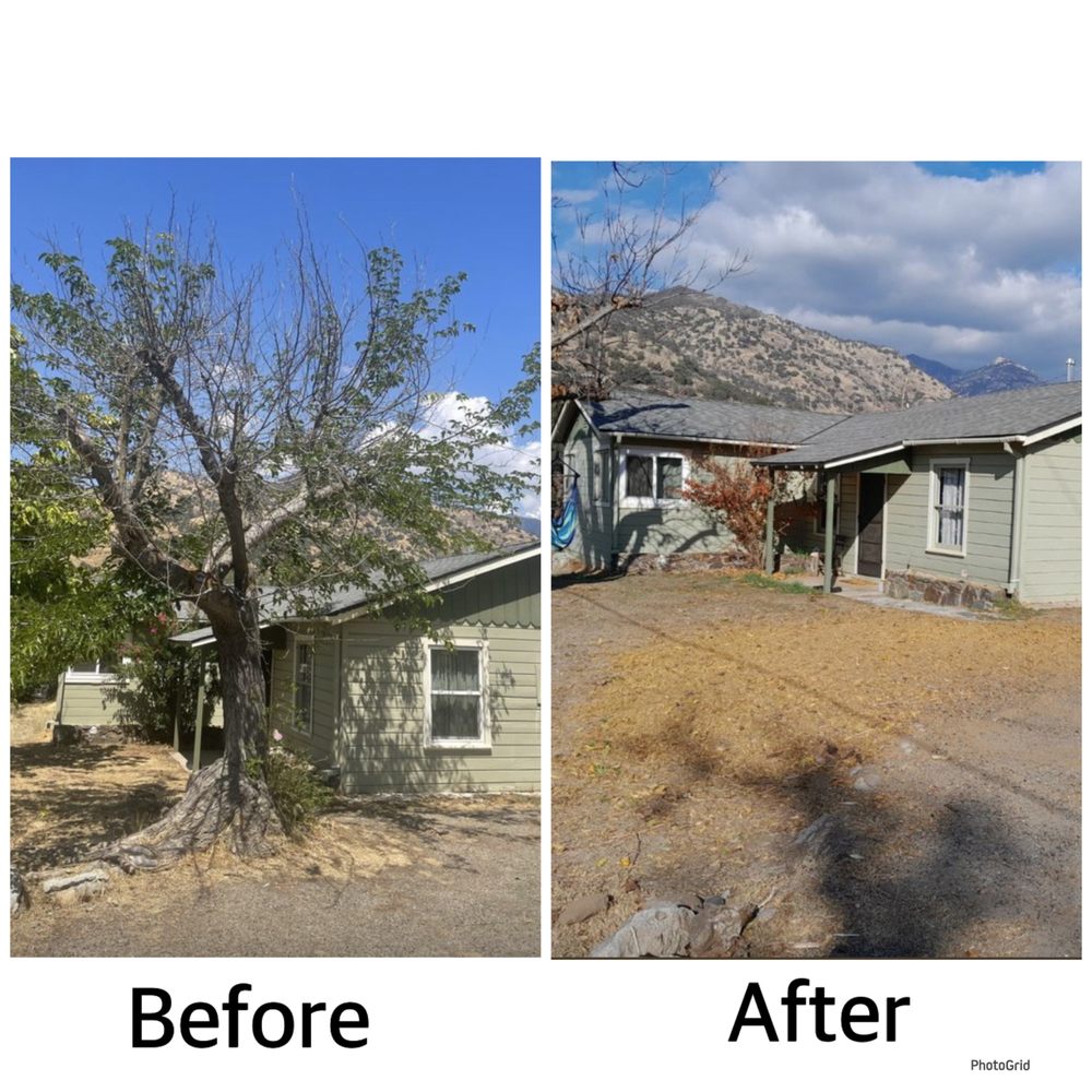 Gutierrez Tree Care 1